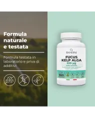Fucus Kelp Algae 225mcg - 365 Compresse